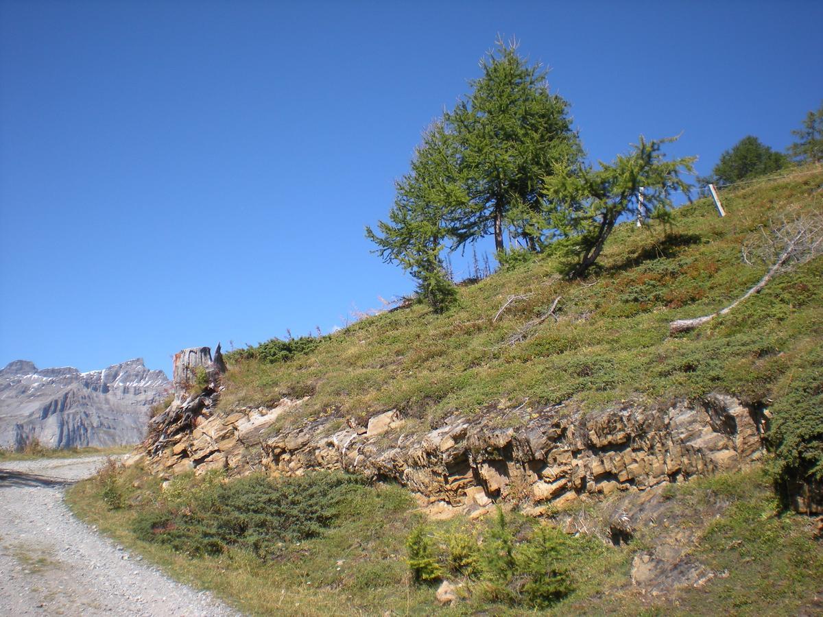 Appartementhaus La Promenade Leukerbad Esterno foto